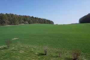 Imagen de la galería de Ferienwohnung Penning, en Oberfellendorf