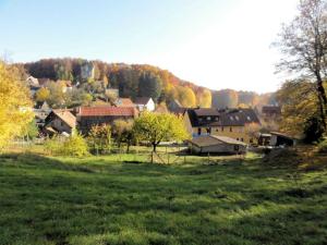 a group of houses in a field with trees at Haus Burgblick in Obertrubach