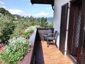 Foto de la galería de Garni Runggner Traubenhof en Termeno