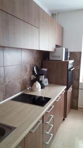 a kitchen with wooden cabinets and a counter top at Apartament Gia in Oradea