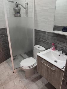 ein Bad mit einem WC, einem Waschbecken und einer Dusche in der Unterkunft Appartement hyper centre de Tanger (Boulevard Pasteur) in Tangier