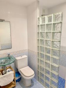 La salle de bains est pourvue de toilettes et d'une douche en verre. dans l'établissement Apartamento Altafulla, à Altafulla