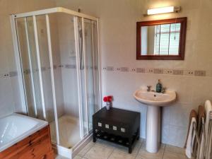 een badkamer met een douche en een wastafel bij Two Eggs in Kenmare