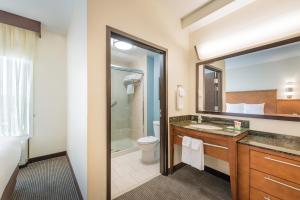 a bathroom with a shower, sink, and mirror at Hyatt Place Charleston Airport / Convention Center in Charleston