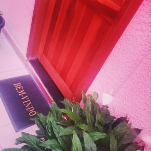 a potted plant sitting in front of a red box at POUSADA EXECUTIVE EXPRESS in Goiânia