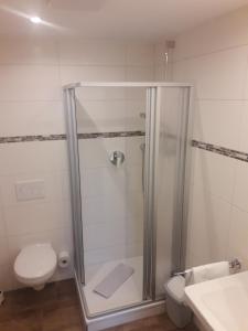 a bathroom with a shower and a toilet at Hotel Garni Post in Grainau