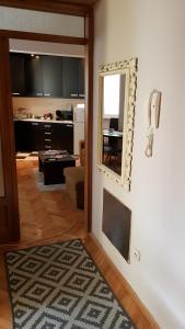 Kuchyň nebo kuchyňský kout v ubytování Apartman Veselinovic Free PARKING