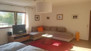 a living room with a couch and a tv at Apartment An der Weinstraße in Oberotterbach