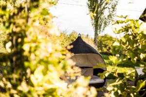 A garden outside Wohnen beim Wein Tschermonegg