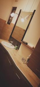 ein Bad mit einem Waschbecken und einem Spiegel in der Unterkunft W&M Stylish Apartment in Budapest