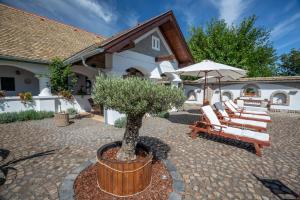 Zahrada ubytování Provence Birtok
