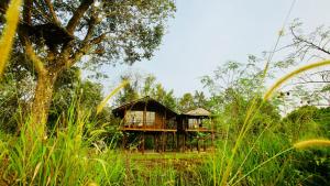 a tree house in the middle of a field at Chena Huts Eco Resort in Sigiriya