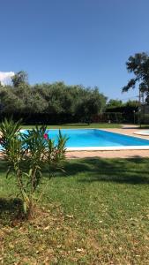 Bazén v ubytování Il Giardino nebo v jeho okolí