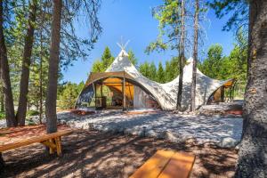 Příroda nedaleko luxury tent