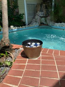 a bucket of rocks sitting next to a swimming pool at The Garden House - Adult Only in Key West