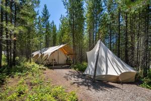 Příroda nedaleko luxury tent