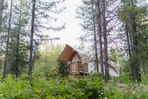 Příroda nedaleko luxury tent