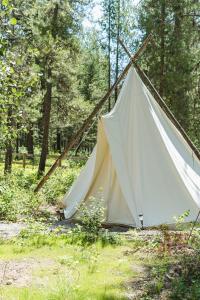 Fotografie z fotogalerie ubytování Under Canvas Glacier v destinaci Coram