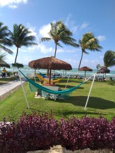 a hammock with umbrellas and palm trees and the ocean at Apartamentos Hotel Marinas in Tamandaré