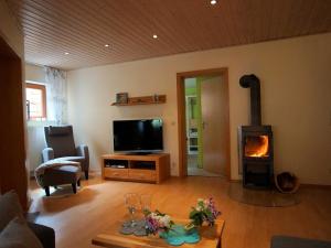 a living room with a television and a fireplace at FeWo Die Dittrichs in Eggolsheim