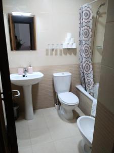 La salle de bains est pourvue de toilettes et d'un lavabo. dans l'établissement Teleña, à Cangas de Onís