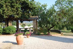 A garden outside Villa Sara