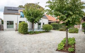 ein Haus mit einem Baum in der Mitte einer Auffahrt in der Unterkunft B&B Hof Beygaert in Aalst