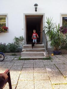 Un petit garçon monte les escaliers avec un chat dans l'établissement Gästehaus Grünberger, à Hutthurm