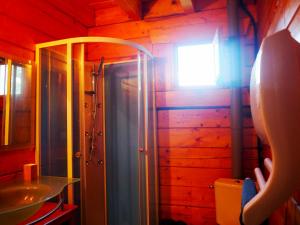 a bathroom with a shower and a sink and a window at Le Chalet du Moulin in Brousses-et-Villaret
