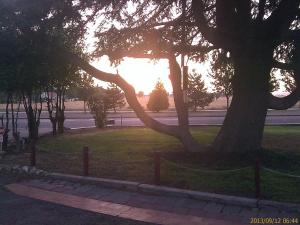 a tree in a park with a fence around it at Ranch Motel in Tehachapi