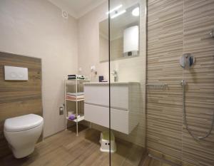 齊基奇的住宿－Apartments Medna，一间带卫生间和玻璃淋浴间的浴室