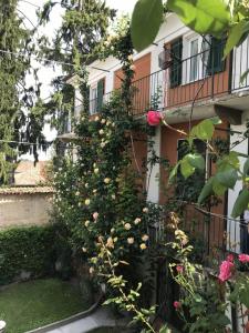 Zahrada ubytování Bed & Roses Meni