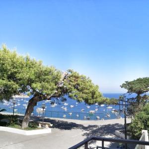 uma vista para um porto com barcos na água em Calise guest house B em Procida