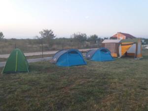 Gallery image of CAMPING LASTE in Smoković
