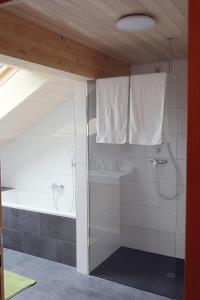 uma casa de banho com um chuveiro e uma banheira em Appartments Christine em Bizau