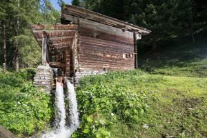 Przyroda w pobliżu tego pensjonatu