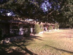 a house with a tree in front of a yard at Ranch Motel in Tehachapi