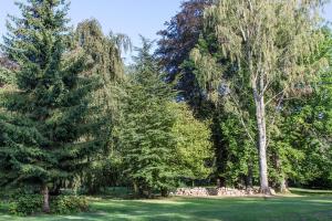 Zahrada ubytování Gîte Domaine des Iris