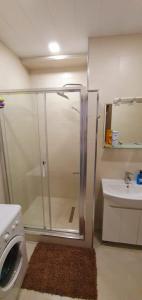 een douche in een badkamer met een wastafel en een wasmachine bij Tikas home Апартаменты in Tbilisi City