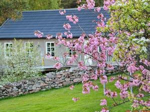 Varekilにある6 person holiday home in VAREKILの石壁とピンクの花の木のある家