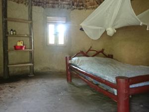 
A bed or beds in a room at Bwindi Forest Farm and campsite
