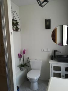uma casa de banho com um WC, um lavatório e um espelho. em Central Point em Zielona Góra
