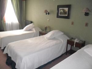 Krevet ili kreveti u jedinici u okviru objekta Hotel Isla Rey Jorge