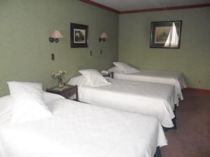 Krevet ili kreveti u jedinici u okviru objekta Hotel Isla Rey Jorge