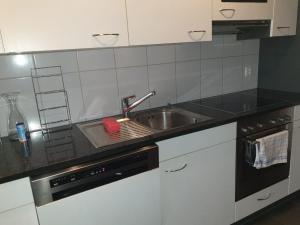 Kuhinja oz. manjša kuhinja v nastanitvi 3 Doppel Zimmer Apartement in 9320 Arbon
