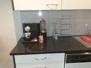 Kuhinja oz. manjša kuhinja v nastanitvi 3 Doppel Zimmer Apartement in 9320 Arbon