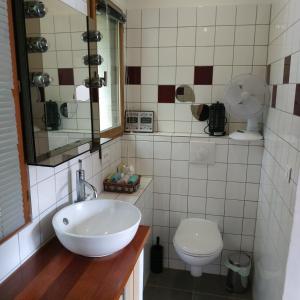łazienka z umywalką i toaletą w obiekcie Studio dans les bois w mieście Blésignac