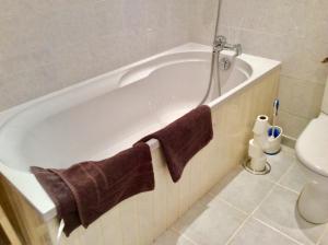 a bathroom with a bath tub with a toilet at Gite de Pete in Le Buisson +11 photos
