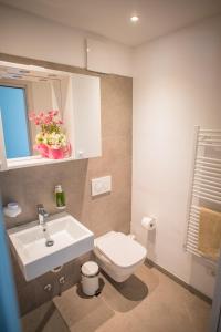 a bathroom with a sink and a toilet and a window at Residence Filanda in Riva del Garda