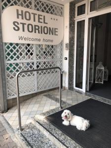 a white dog laying on a mat in front of a hotel sign at Hotel Storione in Lido di Jesolo